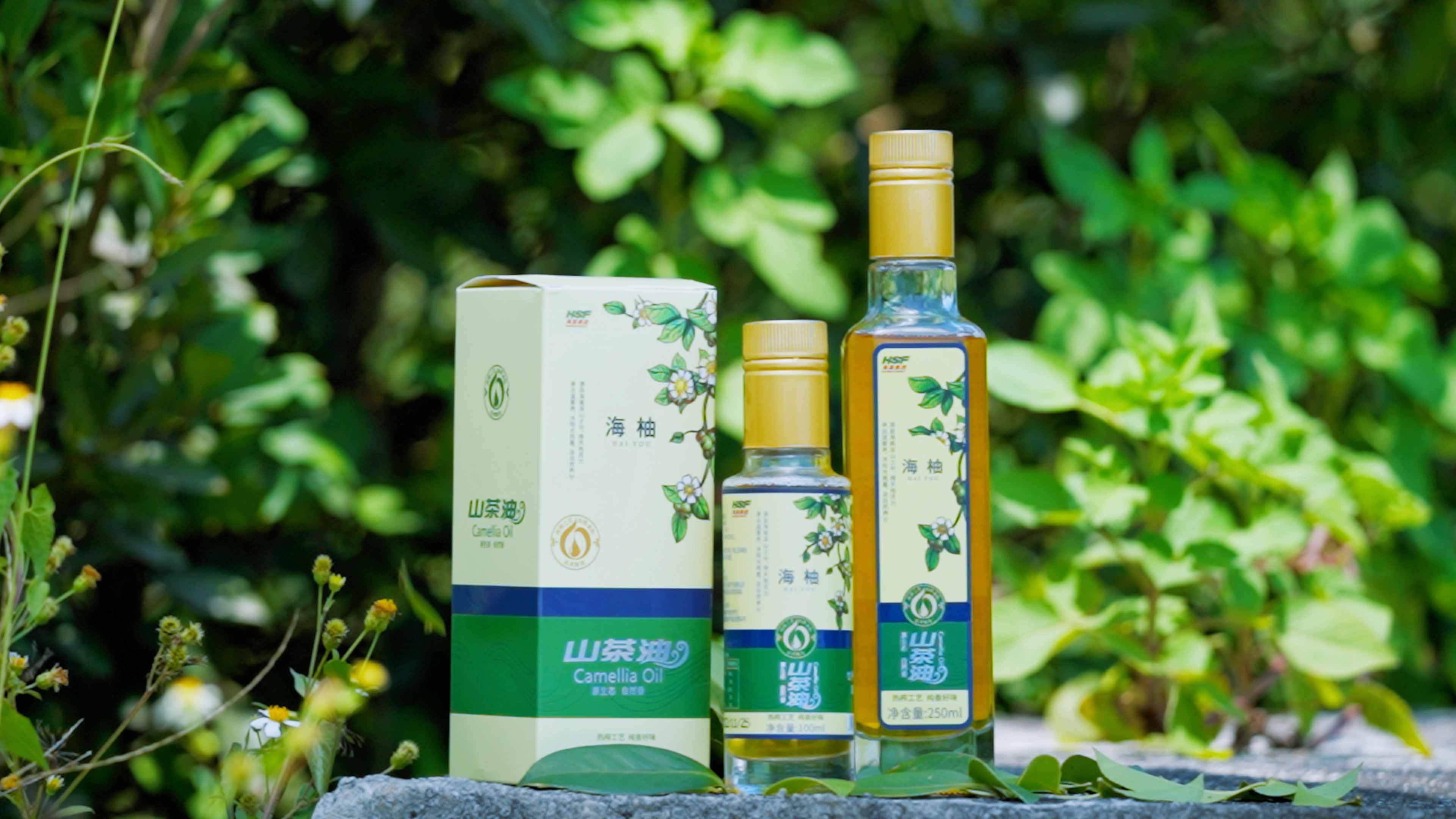 非凡娱乐乐香山茶油