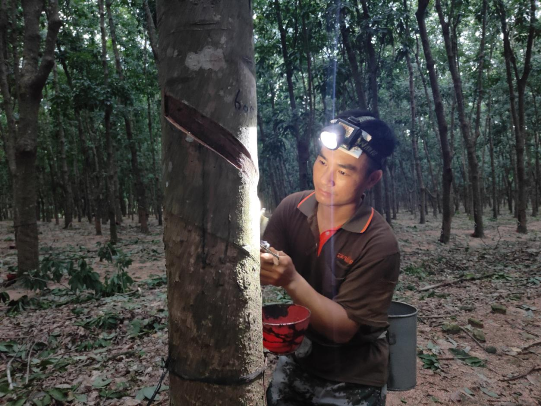 bda3ab677be043e6b04c8985a645ad26